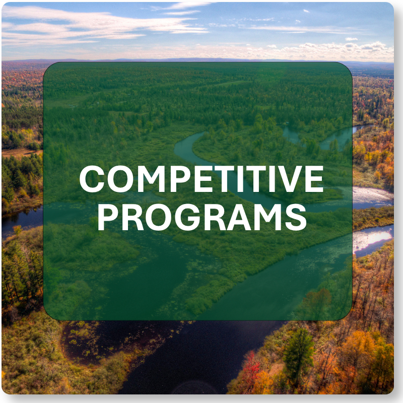 Competitive Programs Button