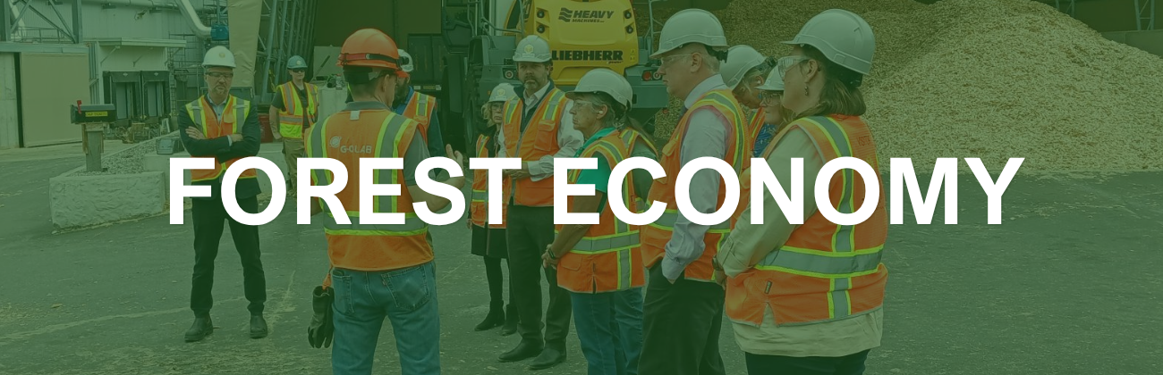 Forest Economy Main Page