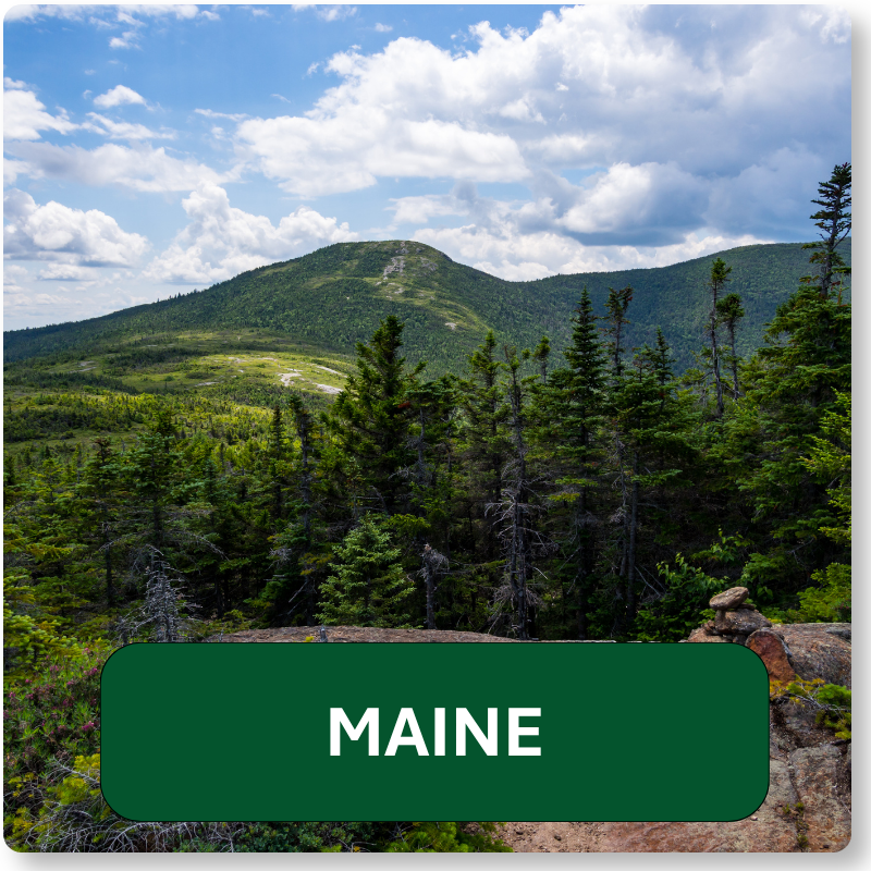 Member State - Maine