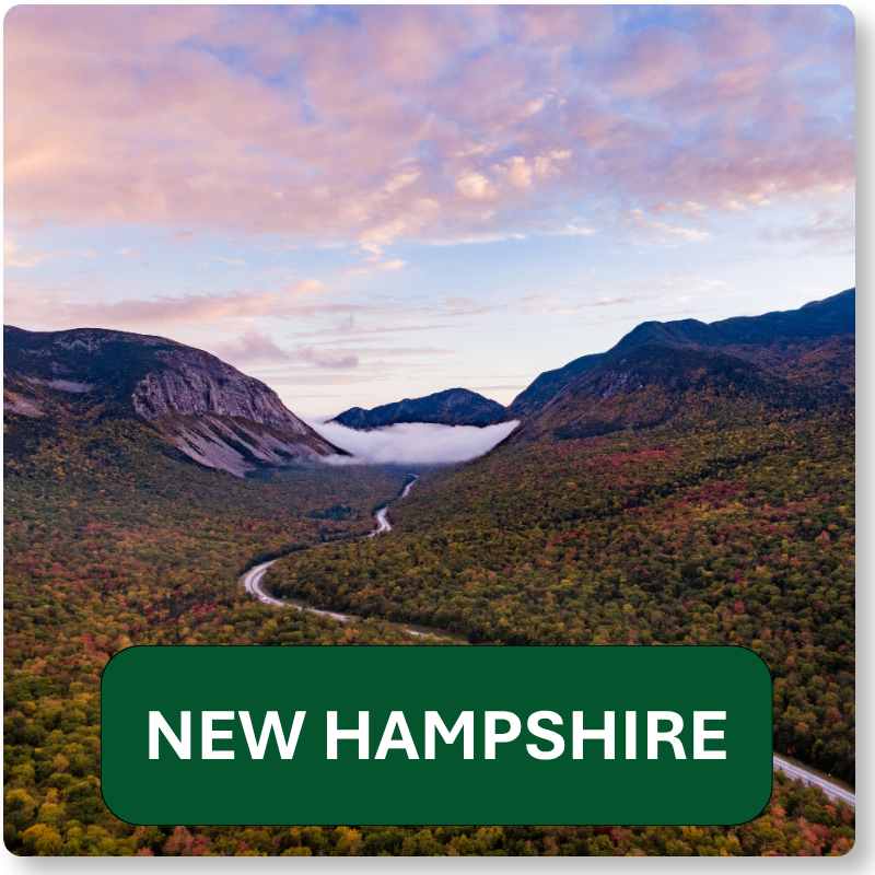 Member State - NH