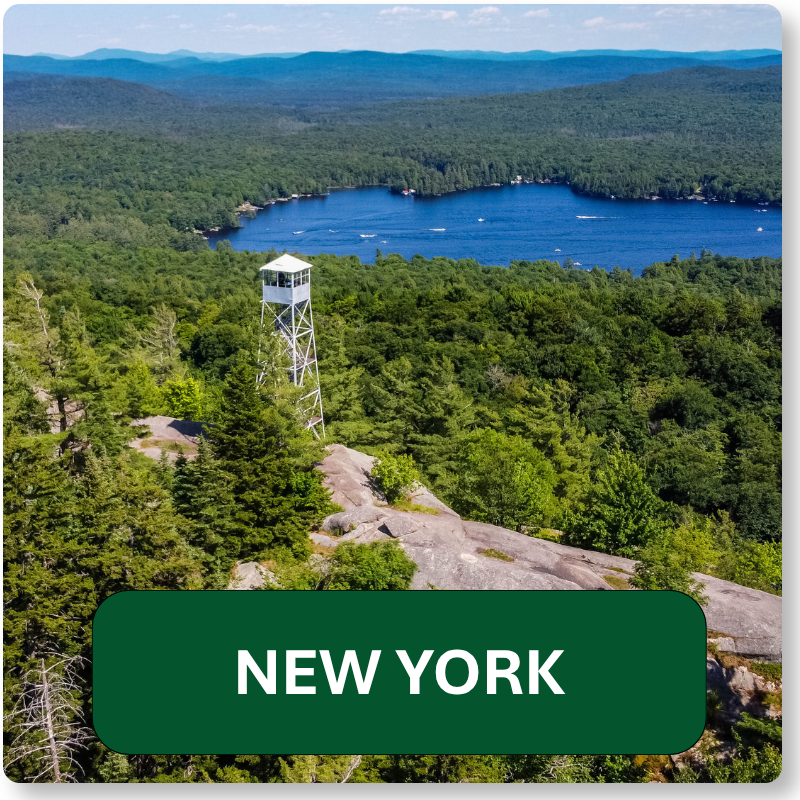 Member State - NY