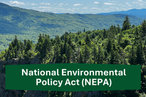 NEPA 