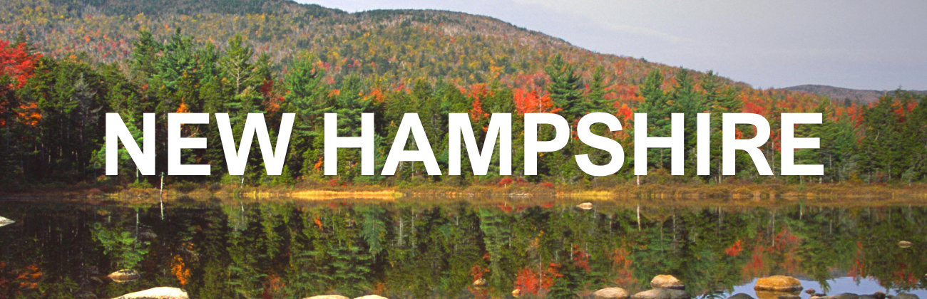 New Hampshire Main Page