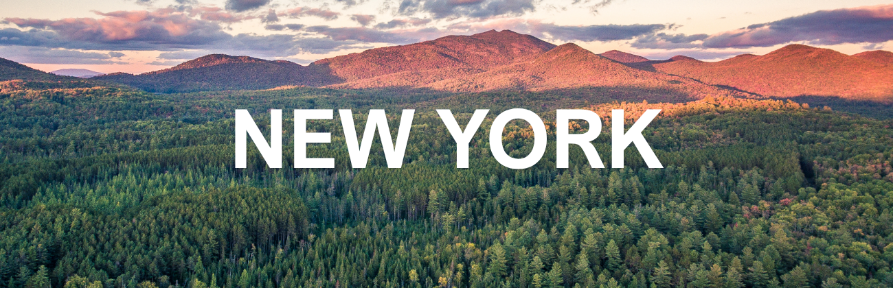 NY Main Page